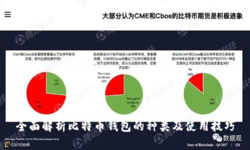 全面解析比特币钱包的种类及使用技巧