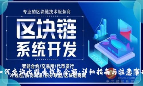如何查询比特币钱包余额：详细指南与注意事项