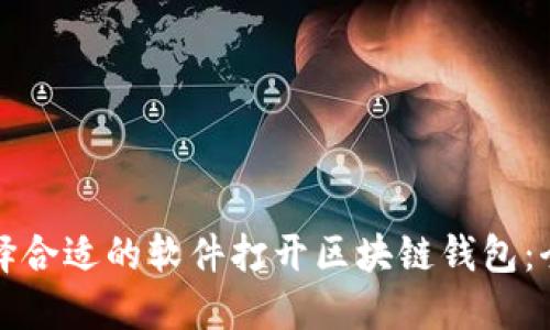 如何选择合适的软件打开区块链钱包：全面指南