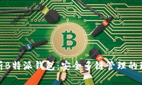 全面解析B特派钱包：安全多链管理的理想选择