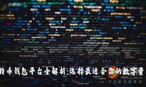 2023年比特币钱包平台全解析：选择最适合你的数字资产存储方案