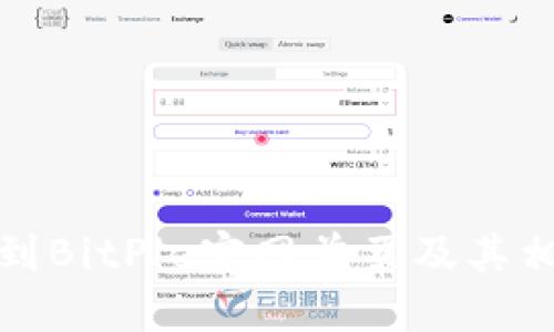 如何找到BitPie官网首页及其相关信息