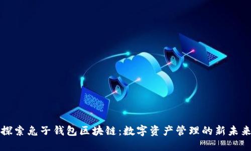 探索兔子钱包区块链：数字资产管理的新未来