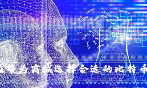 如何在华为商城选择合适的比特币钱包？