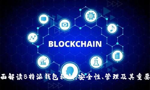 全面解读B特派钱包私钥：安全性、管理及其重要性
