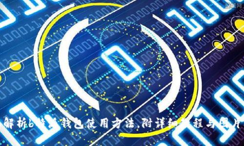 全面解析b特派钱包使用方法，附详细教程与图片示例