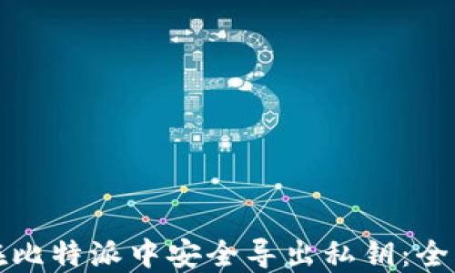 
如何在比特派中安全导出私钥：全面指南