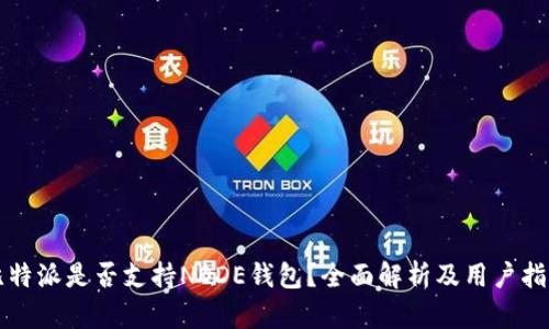 比特派是否支持NODE钱包？全面解析及用户指南