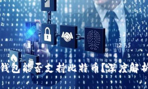 以太坊钱包能否支持比特币？深度解析与比较