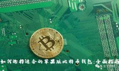 如何选择适合的苹果版比