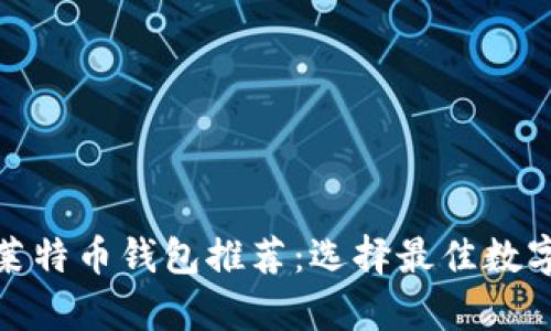 最全比特币与莱特币钱包推荐：选择最佳数字货币存储方案