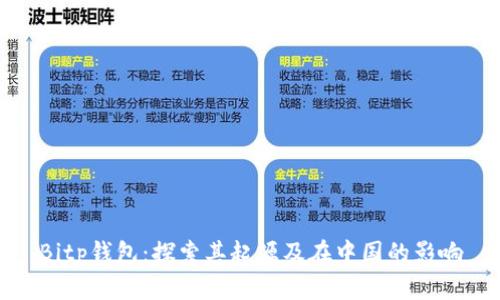 Bitp钱包：探索其起源及在中国的影响