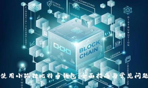 如何使用小狐狸比特币钱包：全面指南与常见问题分析