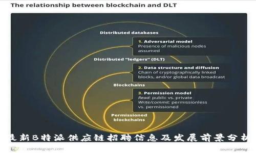 最新B特派供应链招聘信息及发展前景分析