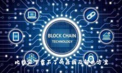比特派下载不了的原因及