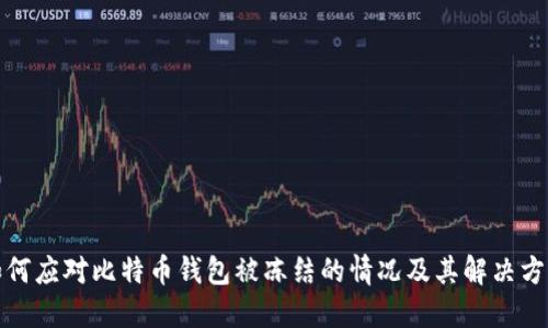 如何应对比特币钱包被冻结的情况及其解决方案