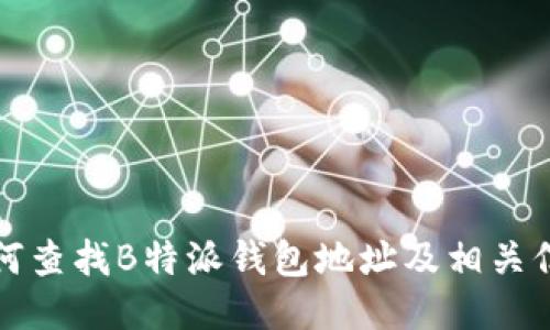 如何查找B特派钱包地址及相关信息