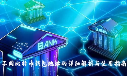 不同比特币钱包地址的详细解析与使用指南