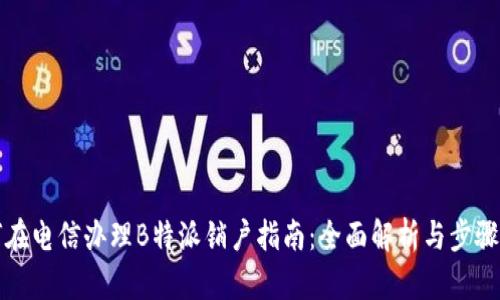 如何在电信办理B特派销户指南：全面解析与步骤详解