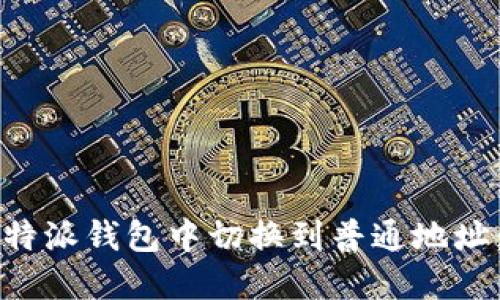 如何在比特派钱包中切换到普通地址：完整指南