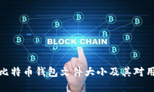 如何理解比特币钱包文件大小及其对用户的影响