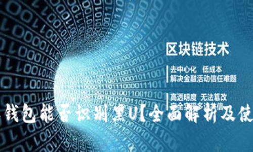 比特派钱包能否识别黑U？全面解析及使用指南