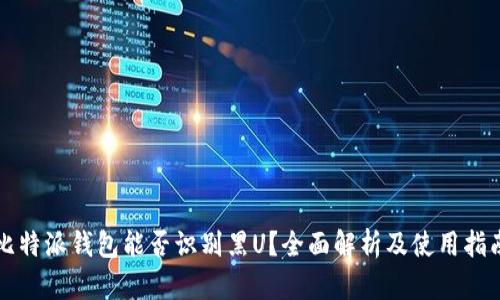 比特派钱包能否识别黑U？全面解析及使用指南