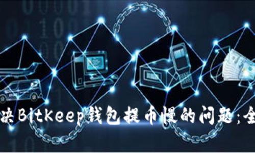 如何解决BitKeep钱包提币慢的问题：全面指南
