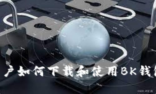苹果手机用户如何下载和使用BK钱包：详细指南