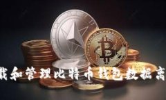 如何安全下载和管理比特币钱包数据离线：完整