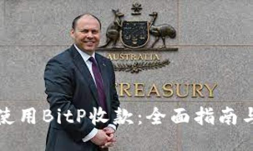 如何使用BitP收款：全面指南与技巧