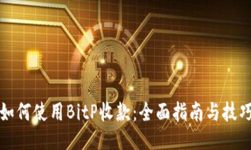 如何使用BitP收款：全面指南与技巧