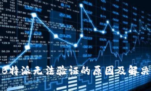 探讨B特派无法验证的原因及解决方案