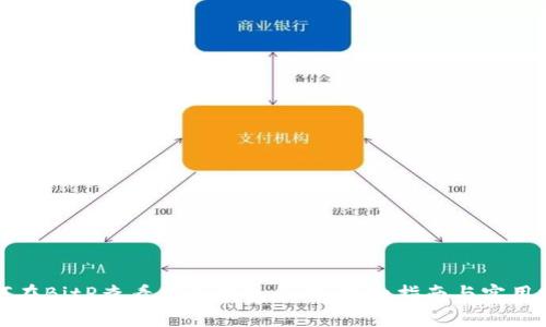 如何在BitP查看他人钱包余额：详细指南与实用技巧