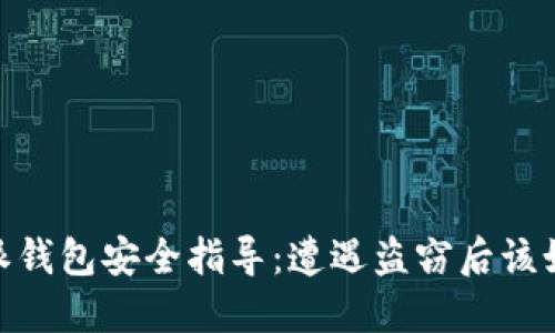 : 比特派钱包安全指导：遭遇盗窃后该如何应对