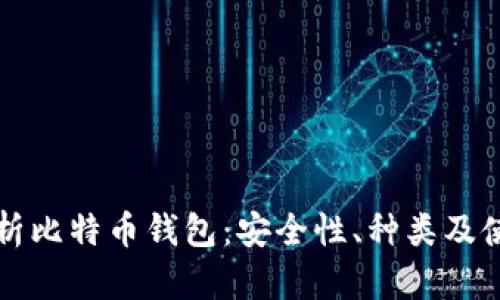 全面解析比特币钱包：安全性、种类及使用指南