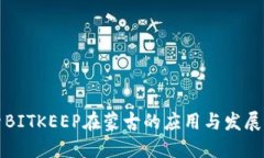 探索BITKEEP在蒙古的应用与发展潜力