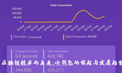  区块链技术的未来：小钱包的崛起与发展趋势