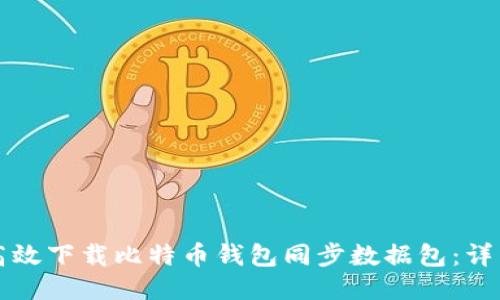 如何高效下载比特币钱包同步数据包：详细指南