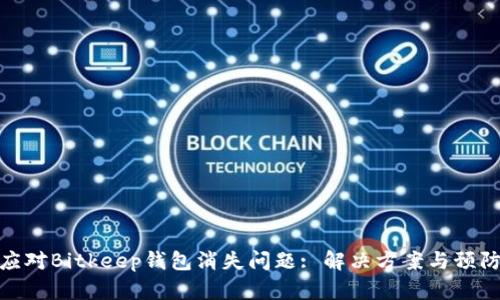 如何应对Bitkeep钱包消失问题: 解决方案与预防措施