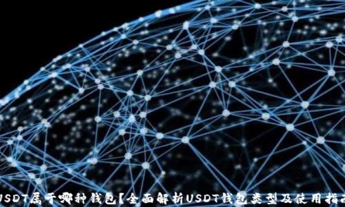 
USDT属于哪种钱包？全面解析USDT钱包类型及使用指南
