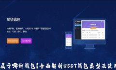 USDT属于哪种钱包？全面解