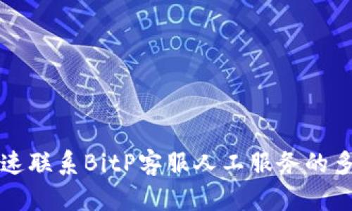 如何快速联系BitP客服人工服务的多种方式