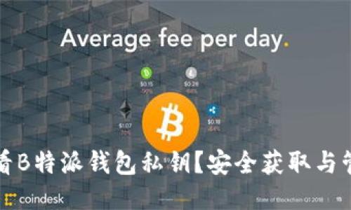 如何查看B特派钱包私钥？安全获取与管理指南