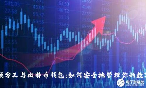 理解硬分叉与比特币钱包：如何安全地管理你的数字资产