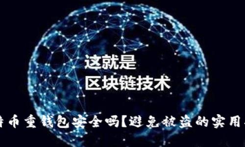 比特币重钱包安全吗？避免被盗的实用指南