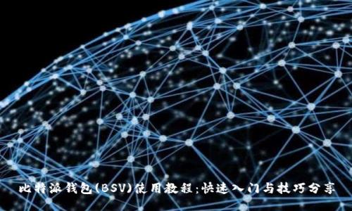 比特派钱包(BSV)使用教程：快速入门与技巧分享