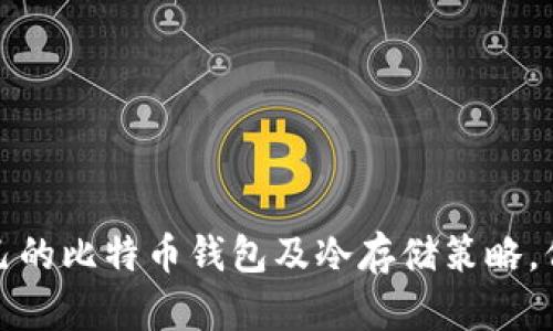 如何选择适合自己的比特币钱包及冷存储策略，保障数字资产安全