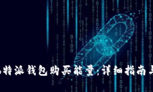 如何通过b特派钱包购买能量：详细指南与收益分析