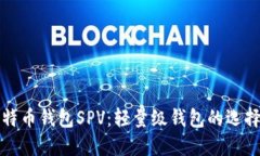 深入了解比特币钱包SPV：